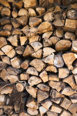An old pile of firewood