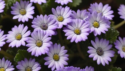 Fototapeta premium Vibrant purple flowers in bloom