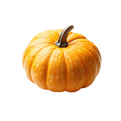 Obraz premium A large orange pumpkin with a stem isolated on white background