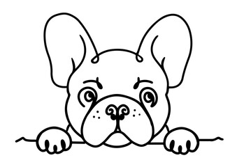 French Bulldog peeping face illustration line drawing vector on white background