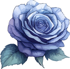 flower illustration