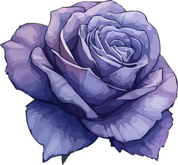 Obraz premium flower illustration