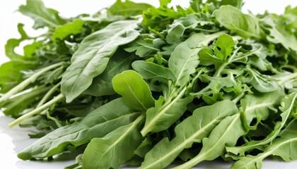 Obraz premium Fresh and vibrant green leafy vegetables