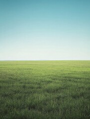 Obraz premium Vast green field under clear blue sky