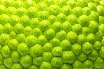 Bright lime green phlegm texture set against a clean white background, ideal for both medical illustrations and