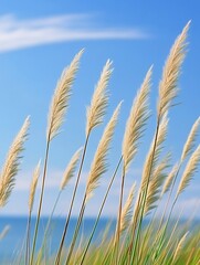 Fototapeta premium Tall grasses against a clear blue sky