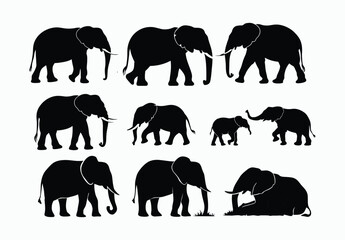 Elegant African Elephant Silhouette EPS Vector File Movement on a White Background