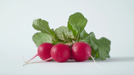 Three Fresh Red Radishes with Green Leaves
