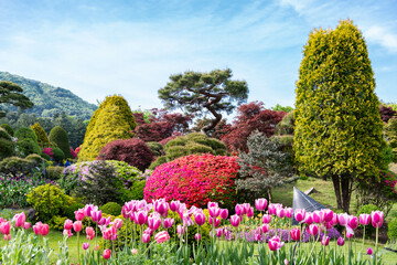 Beautiful, colourful and diversified outdoor gardens with a lot of flowers and plants on a sunny day
