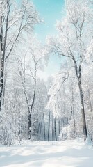 Obraz premium winter landscape with trees