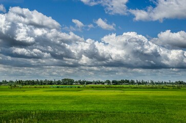 green field and blue sky