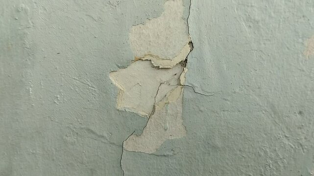 wall paint that is peeling because the wall is damp
