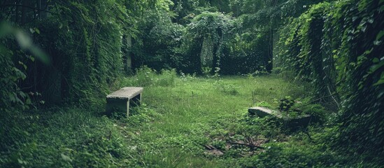 Abandoned Overgrown Green Garden With Place For Bonfire