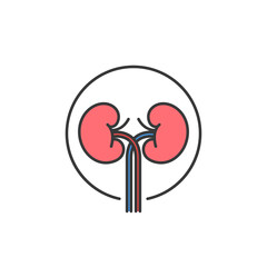 This icon depicts a pair of human kidneys connected by blood vessels, representing the renal system. It is relevant for medical and pharmacy contexts, highlighting kidney health and function.