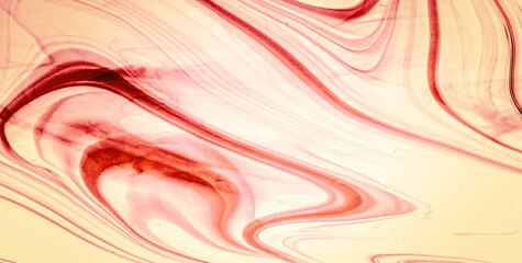 Intricate Pattern and Vibrant Colors in a Bold Design
