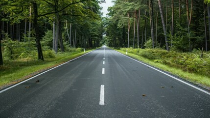 Fototapeta premium Asphalt Road through a Lush Green Forest
