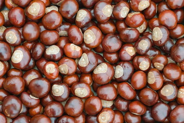 Natural abstract background. Horse chestnut picked for feeding animals in winter. Autumn mood.