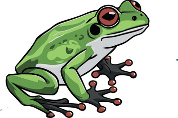 frog on a white background