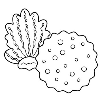 recommend clip art: Seashell and Coral Outline Illustration: A simple, elegant outline illustration of a seashell and coral, perfect for coloring pages, marine-themed designs, and nature-inspired projects.  