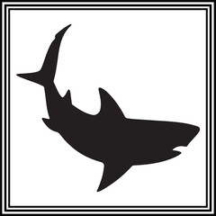 
Shark illustration isolated on white background