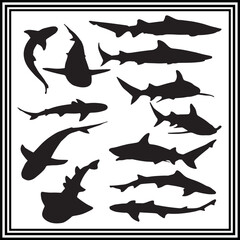 Collection on shark silhouette isolated on white background