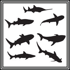 High-Quality Silhouettes of Sea Animals Whales, Fish, Dolphins, and Exotic Marine Life
