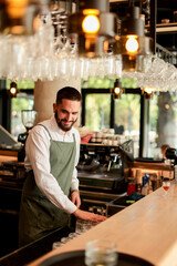 Fototapeta premium Cheerful bartender prepares cocktails in a stylish urban bar filled with natural light and modern decor during the afternoon rush