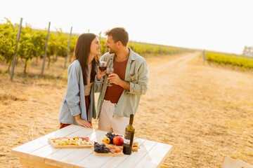 Romantic picnic in a sunlit vineyard featuring a couple enjoying wine and a gourmet platter among the vines during golden hour