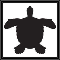 Turtle logo illustration