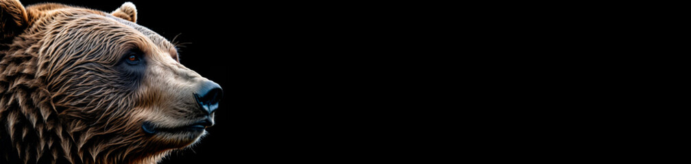 Grizzly bear on black background banner HD