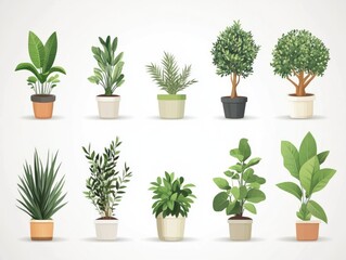 Obraz premium House Plants