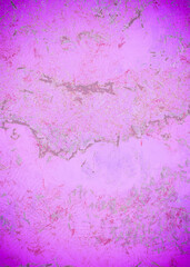 Vertical Background template Trendy classic texture for your graphic design works