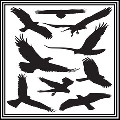 A collection of flying bird silhouettes