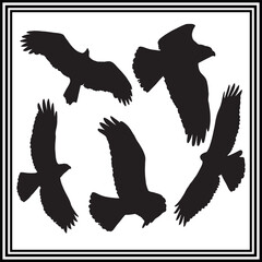 Vector silhouette collection of eagle