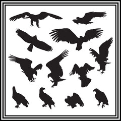 Falcon silhouette illustration set on white background