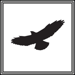 A flying bird vector illustration