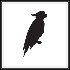 Silhouette of a parrot isolated on white background
