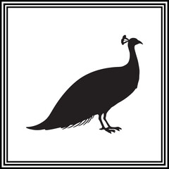 Elegant peacock silhouette illustration tail feathers