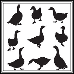 Set of goose silhouette illustration, wildlife animal