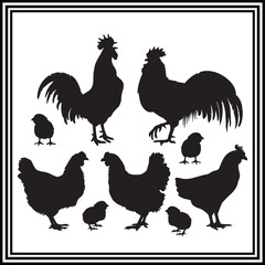 Chicken  roosters and chicken chicks silhouette illustration