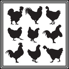Rooster and Chicken silhouette illustration on white background