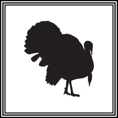 Cute turkey vector illustration