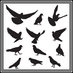 Bird pigeon silhouettes set on white background