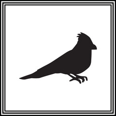 Cardinal bird vector illustration