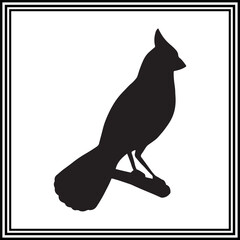 Cardinal bird silhouette on white background.