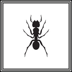 Vector silhouette of black ant.