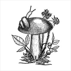 Hand drawn mushroom with  moss, leaves, berries, snail. Vector illustration
