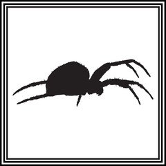 Spider silhouette illustration on white background.