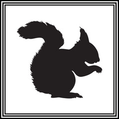 Squirrel vector illustration on white background.
