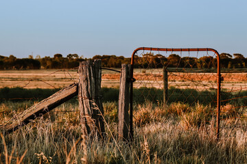 Rural country scene with rusty farm gate leading to dry paddock